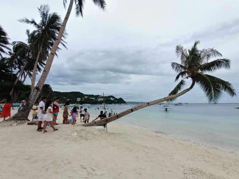 2-Hour Boracay Land Tour via Etrike - Mangrove Boracay Roots (Bakawan): Start with Nature, Not Just Beach