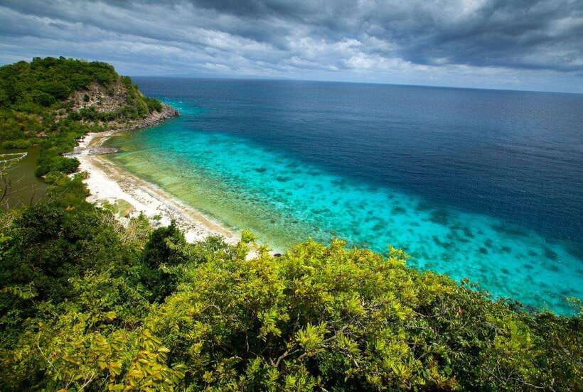 Apo Island Wonders: Snorkel with Sea Turtles in Dumaguete - Why Apo Island Is So Special for Sea Turtles