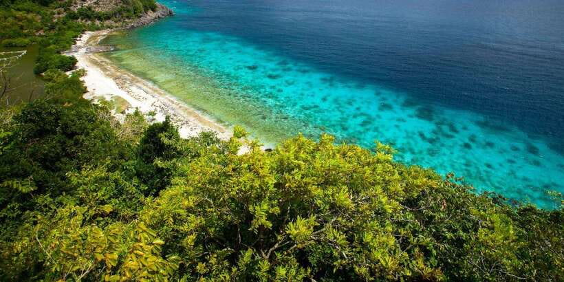 Apo Island Wonders: Snorkel with Sea Turtles in Dumaguete - Who This Tour Fits Best (and Who Should Skip)