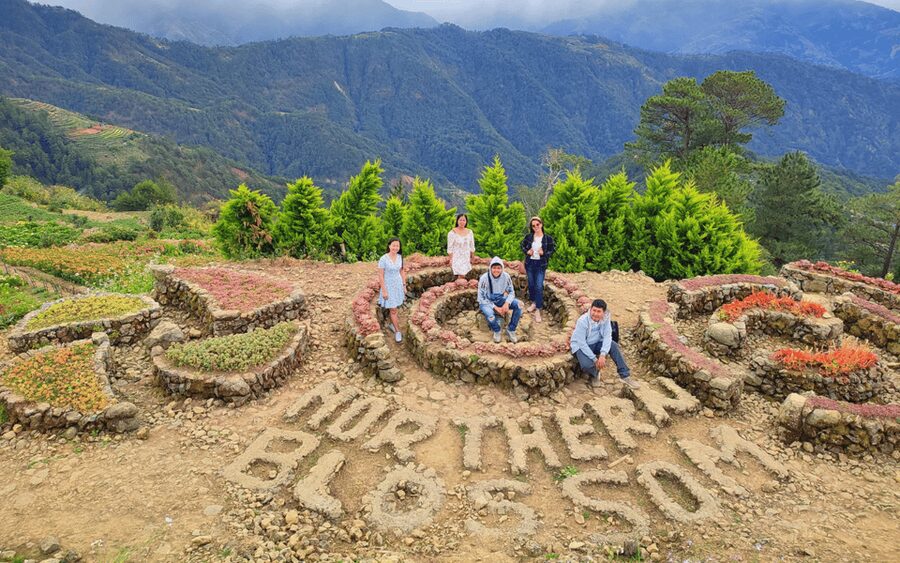 Baguio Atok Flower Blossoms (Private Tour) - Mt. Pulag Views and the February Best-Season Logic
