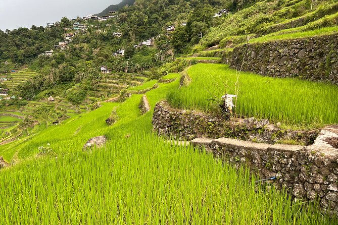 Batad Guided Tour - Meeting at Banaue Tourism Office, and how timing really works
