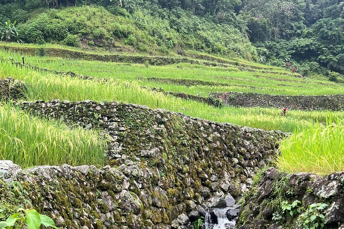 Batad Guided Tour - Day 1 in the terraces: Banaue viewpoints, Pula, and Cambulo