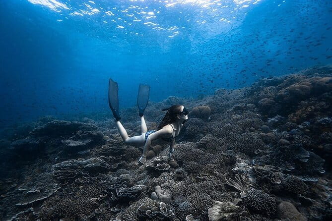 Beginner Freediving Course (with Bonus Session) - Key things to know before you go