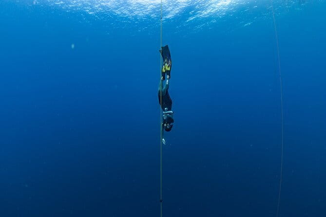 Beginner Freediving Course (with Bonus Session) - Price and value: what $416.70 includes, and what that means for you