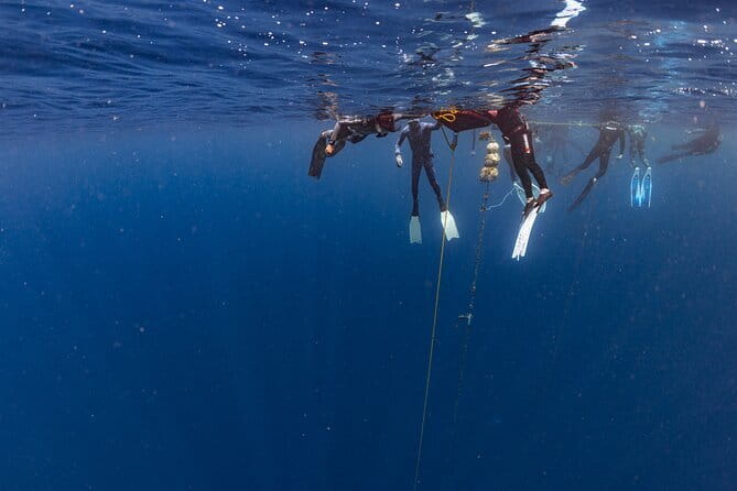 Beginner Freediving Course (with Bonus Session) - Meeting at Freedive Academy Panglao: where the course starts