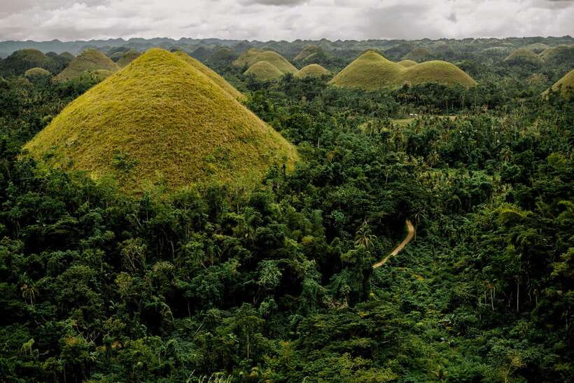 BEST OF BOHOL: Chocolate Hills & Tarsier w Lunch at Loboc - Guide and pacing: names to look for, and why it matters