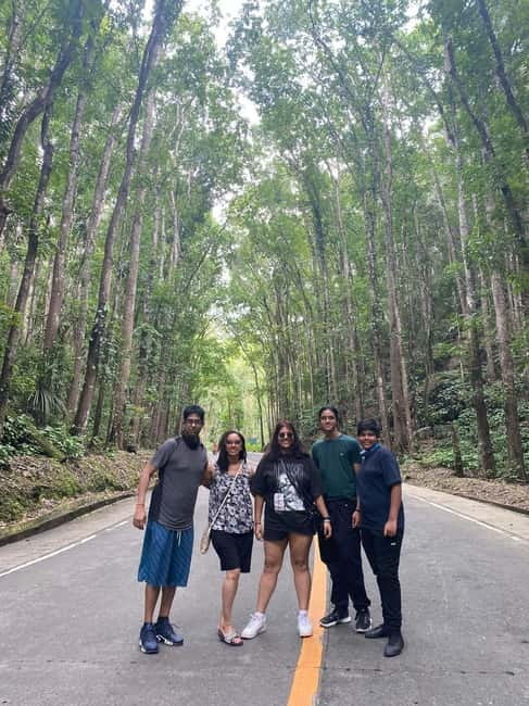 BEST OF BOHOL: Chocolate Hills & Tarsier w Lunch at Loboc - Bilar Man-made Forest: a quick photo stop that’s actually atmospheric