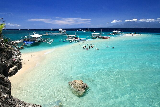 BEST OF CEBU:Oslob Whaleshark Encounter w Sandbar & Tumalog Falls - Why This Oslob, Sumilon, and Tumalog Combo Works So Well
