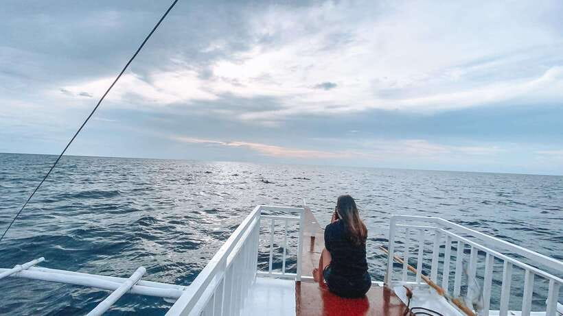 Bohol Balicasag Is Private Tour and Dolphin Watching - A Private Bohol Boat Day With Balicasag as the Main Event