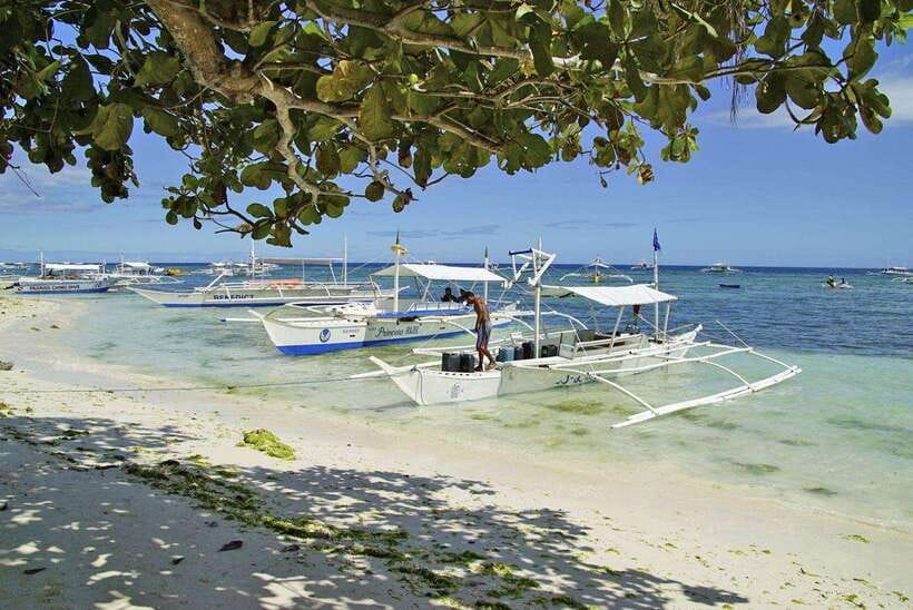Bohol Balicasag Is Private Tour and Dolphin Watching - Balicasag Island on Foot, Paddle Boat, Turtle Time