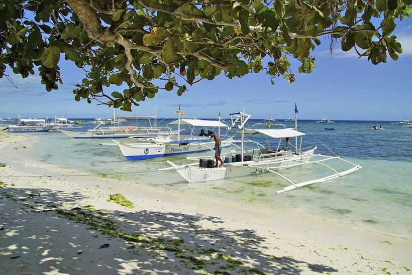 Bohol Balicasag Is Private Tour and Dolphin Watching - Virgin Island Closure and What That Means for Your Expectations