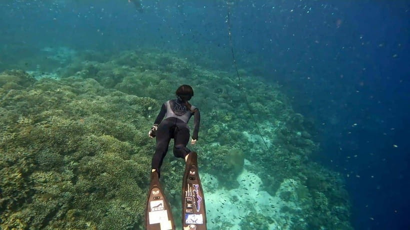Bohol: Boat Tour to Sandbar and Snorkeling with Turtles - Panglao pickup, shared boat flow, and where you actually meet