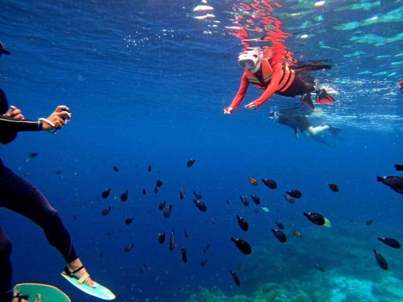 Bohol: Boat Tour to Sandbar and Snorkeling with Turtles - Virgin Island Sandbar: the white crescent, the low-tide challenge, and the self-guided break