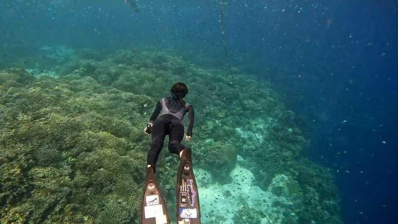 Bohol: Boat Tour to Sandbar and Snorkeling with Turtles - Weather, timing, and comfort tips that save your day