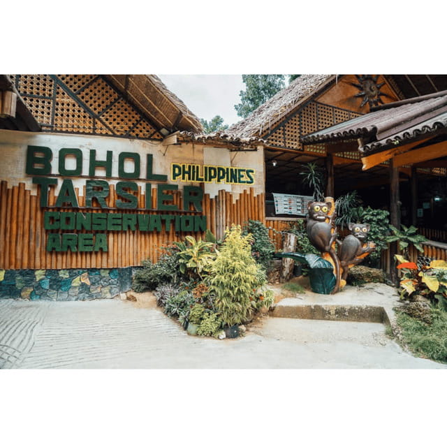 Bohol: Choco Tour + Rio Verde Lunch Buffet - Key Things You Should Know Before You Go