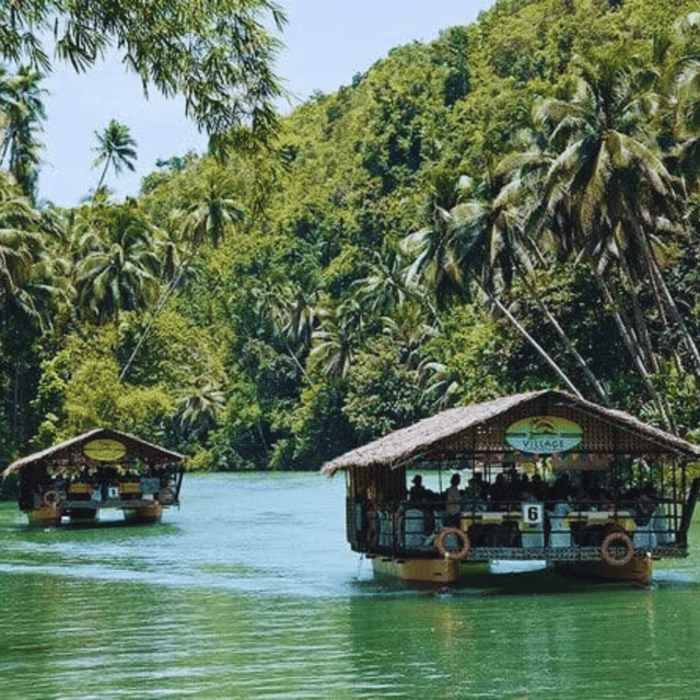 Bohol: Choco Tour + Rio Verde Lunch Buffet - Tarsier Conservation Area: Small Wildlife Viewing With Real Focus