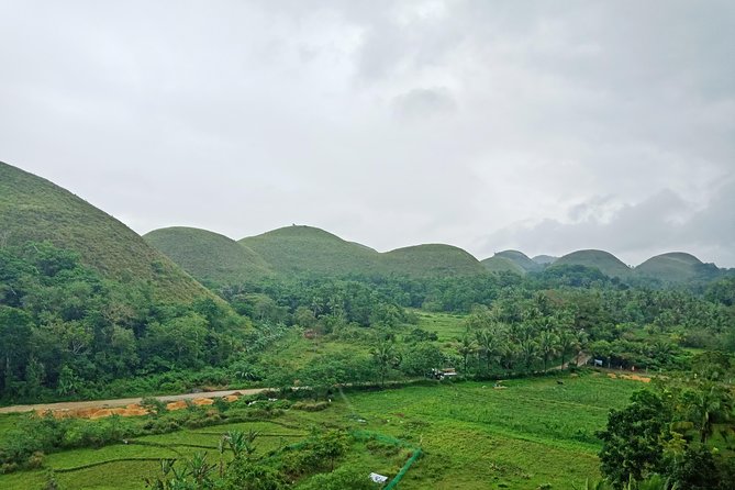 Bohol Chocolate hills and Waterfalls Ecotour - Loboc River Lunch: A Real Food Stop Instead of a Skipped Meal