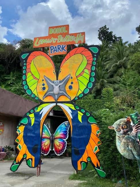 BOHOL: Chocolate Hills, Tarsiers and Loboc River Day Tour - Key points worth knowing