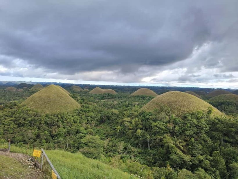BOHOL: Chocolate Hills, Tarsiers and Loboc River Day Tour - Getting picked up in Panglao or Tagbilaran, and staying comfortable