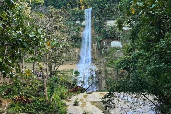 Bohol Chocolate Hills, Tarsiers & Loboc River Private Tour - Tarsier Sanctuary and the quiet 40 minutes