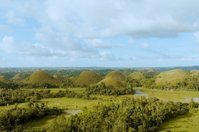 Bohol Chocolate Hills, Tarsiers & Loboc River Shared Tour - Tarsier Sanctuary Viewing: Small, Shy, and Best Done Quiet