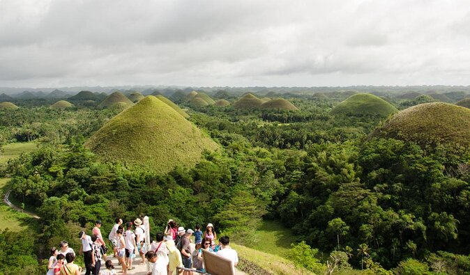 Bohol Chocolate Hills & Tarsiers with roundtrip ferry from Cebu - Key highlights to know before you go