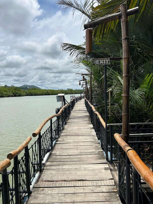 Bohol: Chocolate Hills Tour with Loboc River Cruise & Lunch - From McDonald’s Panglao to Chocolate Hills, with a lot of road time