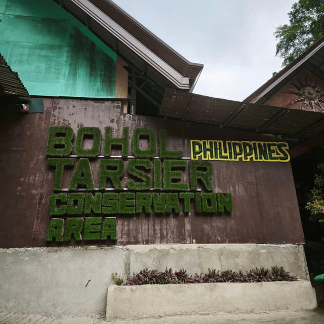 Bohol Chocolate Hills Tour with Loboc River Lunch Buffet - Key Points Before You Go