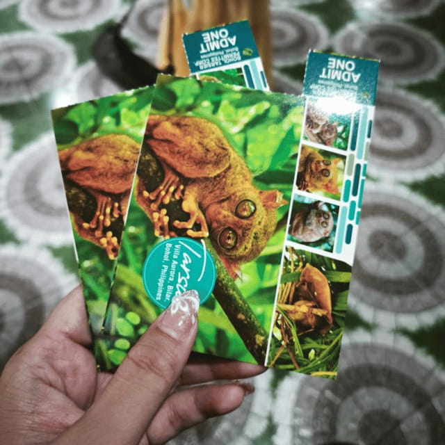 Bohol Chocolate Hills Tour with Loboc River Lunch Buffet - Shared Tour Logistics: What 12-Person Timing Feels Like