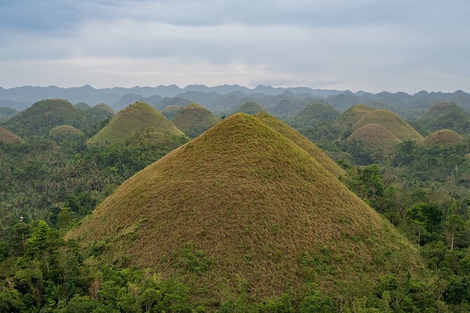 Bohol Chocolate Making and Farm Tour - From Chocolate Hills area to the farm: the day’s pacing