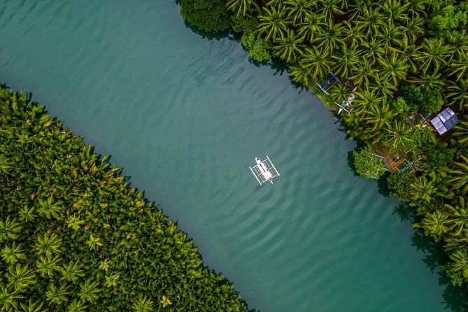 Bohol Country Side Tour - Private w/ Lunch - The Day’s Flow, Pickup, and How Private Really Feels