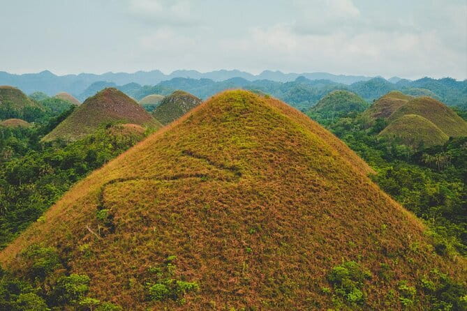 Bohol Country Side Tour - Private w/ Lunch - Bilar’s Man-Made Mahogany Forest: Shade on Purpose
