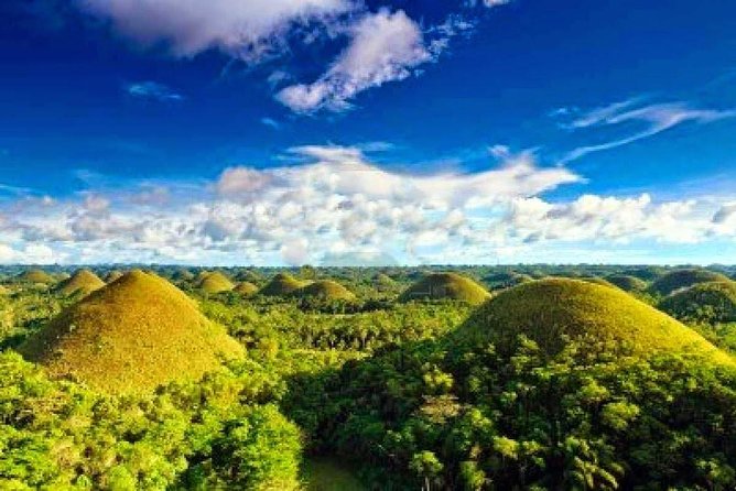 Bohol Countryside Day Tour From Cebu City | Lunch at Loboc River Cruise - Tarsier Conservation Area: tiny primates, real excitement