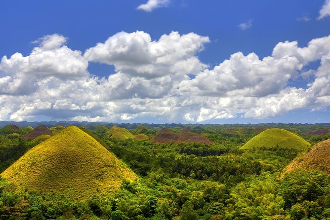 Bohol Countryside Day Tour From Cebu City | Lunch at Loboc River Cruise - Loboc River Cruise: the highlight, and why it works