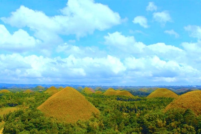 Bohol Countryside Day Tour from Cebu City or Mactan - Best Seller - 4:30 am Pickup and the Air-Conditioned Ferry Plan