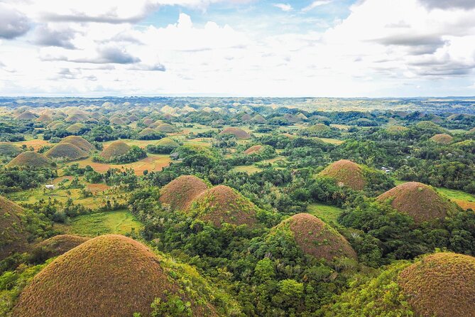 Bohol Countryside Tour: Chocolate Hills, Tarsier and Loboc River - Price and logistics: what $53 really buys you