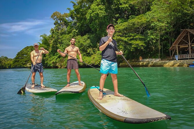 Bohol Countryside Tour: Chocolate Hills, Tarsier and Loboc River - Loboc River stand-up paddleboard time: fun, active, and no cruise