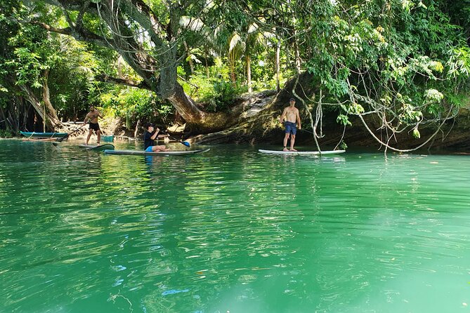 Bohol Countryside Tour: Chocolate Hills, Tarsier and Loboc River - Baclayon Church: where history actually feels physical