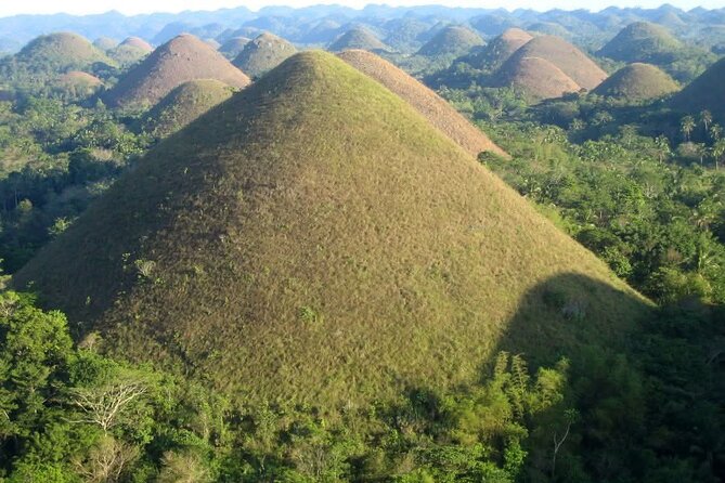 Bohol Countryside Tour to Chocolate Hills and Loboc River - Stop 2: Bohol Tarsier Conservation Area, see them respectfully