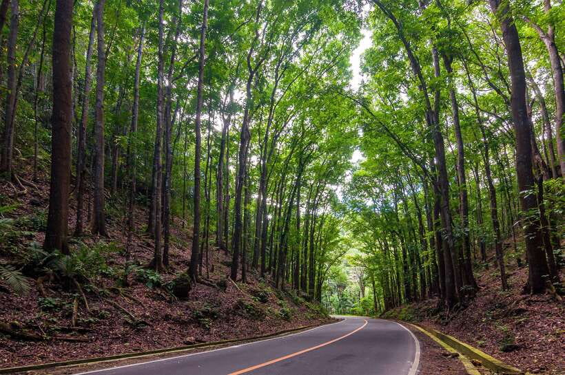 Bohol: Countryside Tour with Loboc (Buffet Lunch) - Chocolate Hills, the Spanish-era church, and how to time your photos