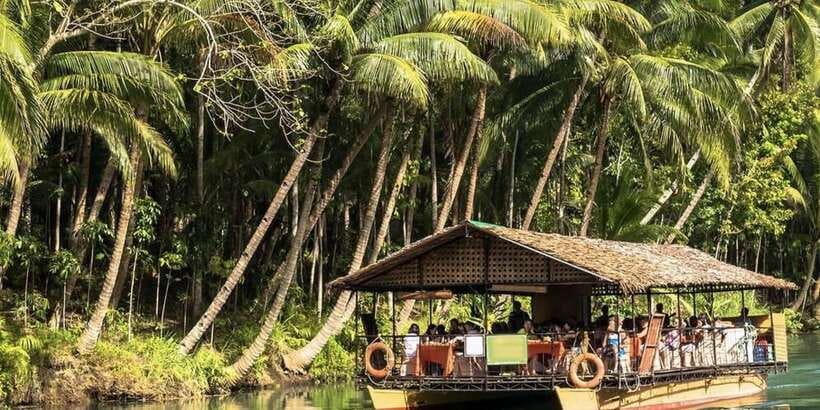 Bohol: Countryside Tour with Loboc (Buffet Lunch) - The man-made forest, souvenir stop, and why quick stops can still matter