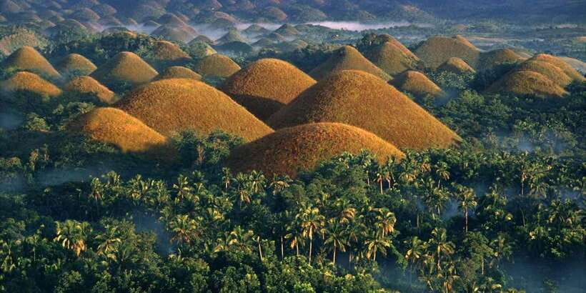 Bohol: Countryside Tour with Loboc (Buffet Lunch) - Butterfly and Phyton, birds, and photo ops with an ethics check
