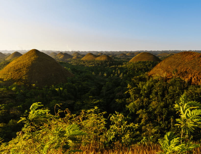 Bohol: Countryside Tour with Tarsiers and Chocolate Hills - Where this day plan shines and where it can wobble