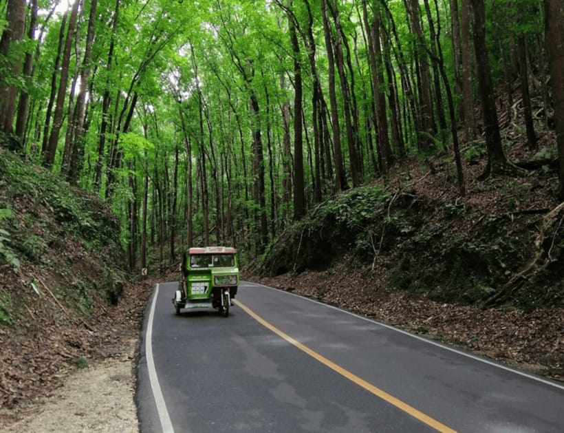 Bohol: Countryside Tour with Tarsiers and Chocolate Hills - Loboc break time: plan lunch your way, then get back on the road