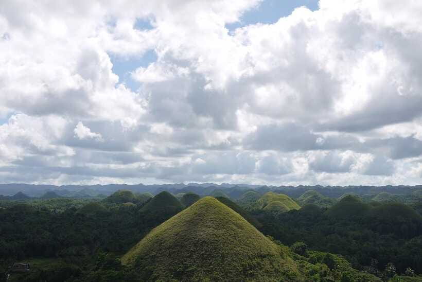 Bohol: Countryside Tour with Tarsiers and Chocolate Hills - Bohol Manmade Forest: 2 kilometers of shade and photo calm