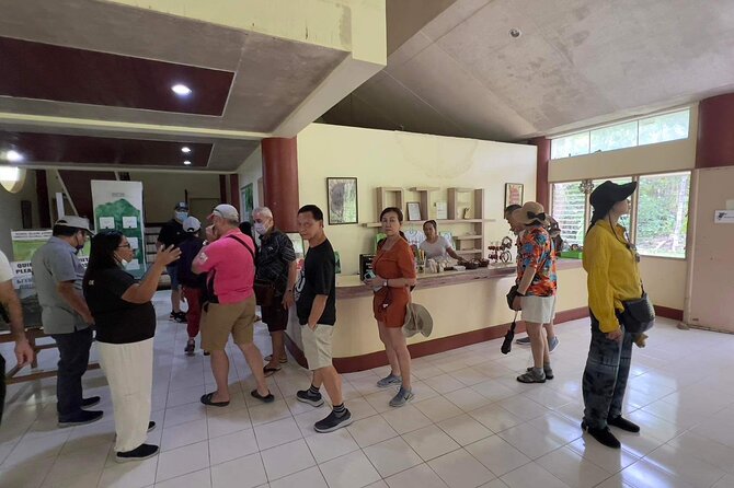Bohol Day Tour with Round-Trip Transfers from Cebu - From Cebu pickup to Bohol thrills, starting at 6:00 am