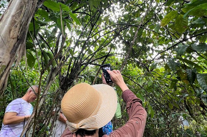 Bohol Day Tour with Round-Trip Transfers from Cebu - Price and value: what you are paying for on this 15-hour format