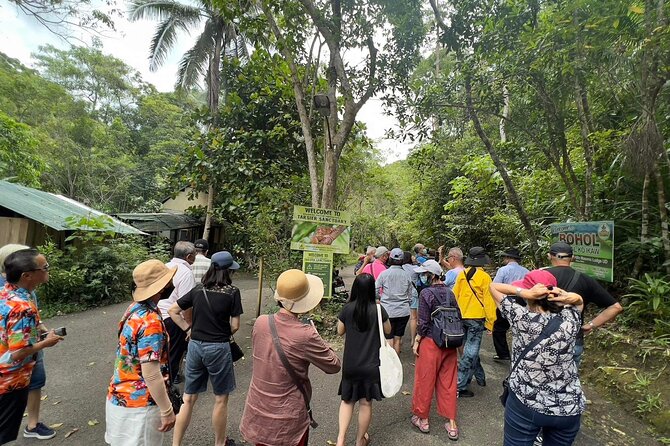 Bohol Day Tour with Round-Trip Transfers from Cebu - Philippine tarsier sanctuary: the tiny primate moment you will remember