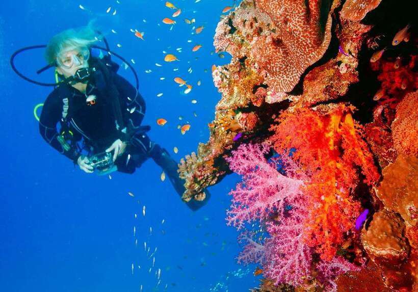 Bohol: Discover Scuba Diving - No Experience Needed - Your instructor stays close while you learn the key skills