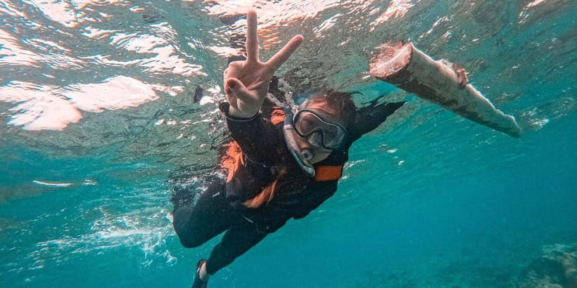 Bohol Dolphin Watching, Balicasag, and Virgin Island Tour - Dolphin watching in Panglao Bay, what chance-sightings actually mean